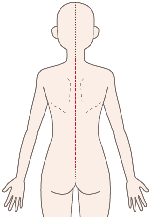 背中の中心を通る経絡