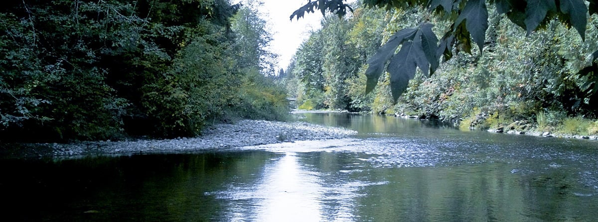 よく行く椿大神社の脇を流れるPilchuck river