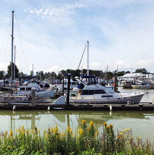 Akemi（あけみ）の地元カナダ・スティーブストン（Steveston）のハーバーに船が停泊